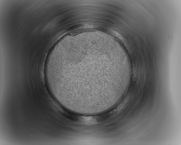 X0000088420794200706121431