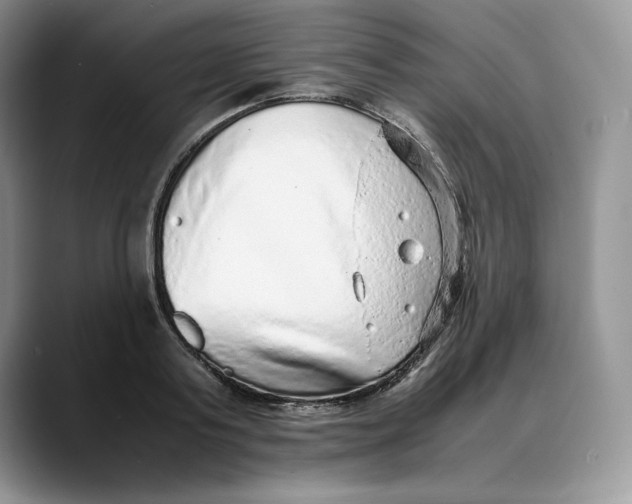 X0000088420795200706121431