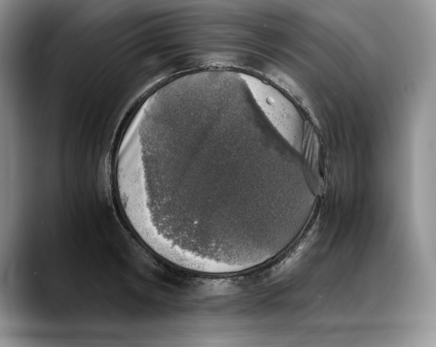 X0000088420798200706121431