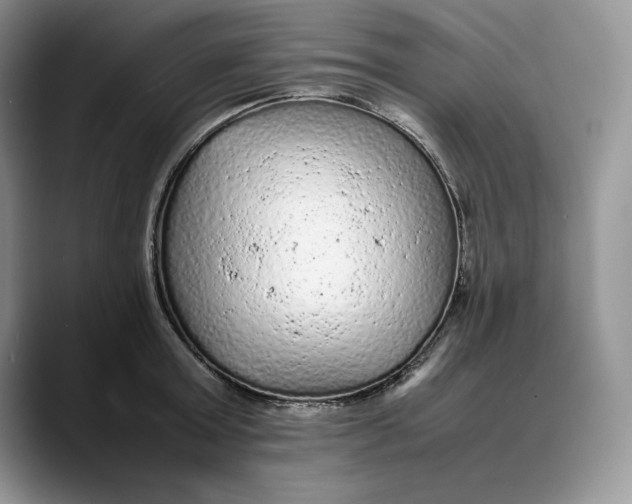 X0000088420803200706121431