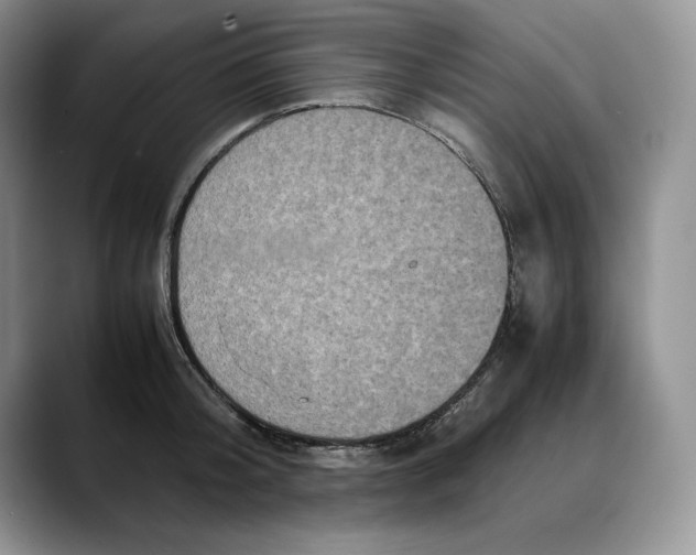 X0000088420804200706121431
