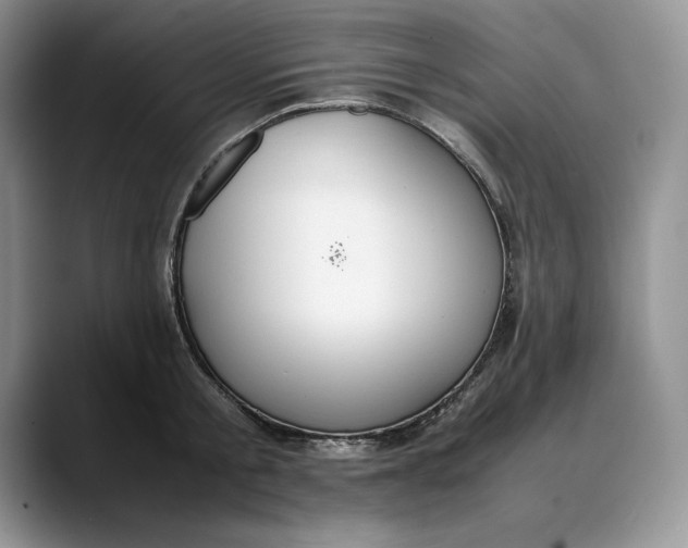 X0000088420805200706121431