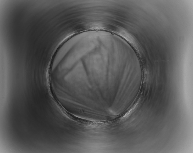 X0000088420806200706121431
