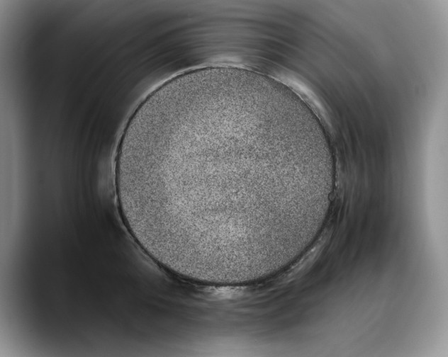 X0000088420808200706121431