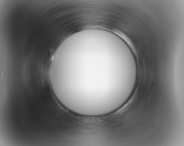 X0000088420809200706121431