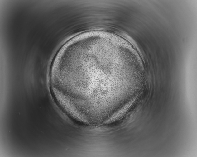 X0000088420811200706121431