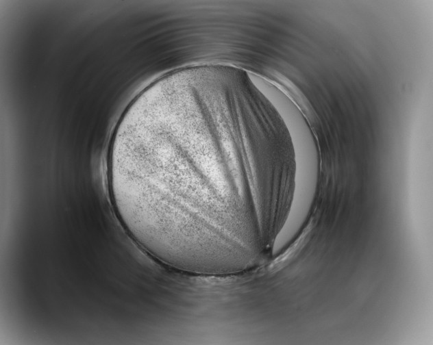 X0000088420812200706121431