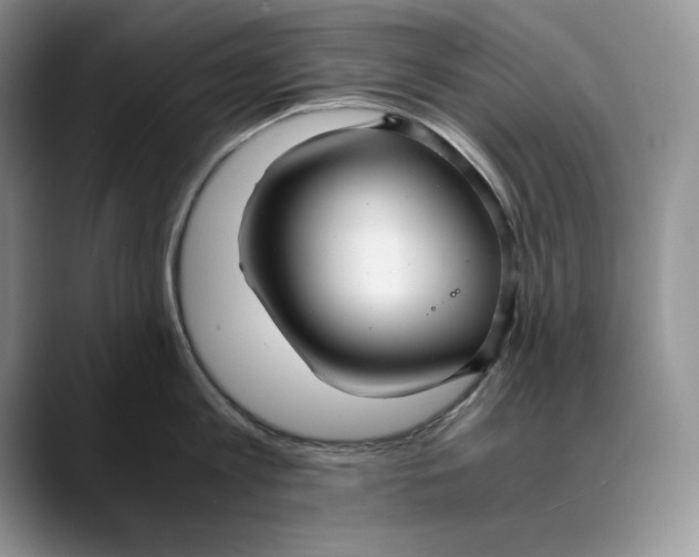 X0000088420813200706121431