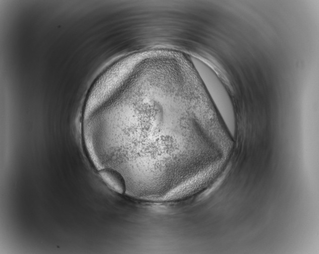 X0000088420814200706121431
