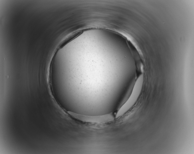 X0000088420815200706121431