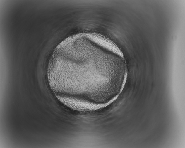 X0000088420817200706121431