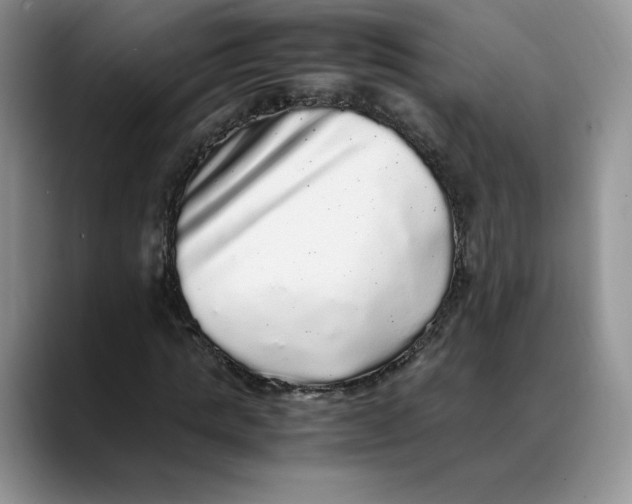 X0000088420821200706121431