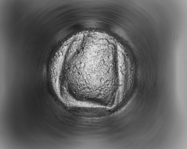 X0000088420825200706121431