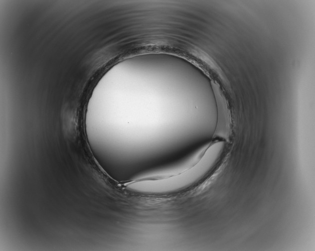 X0000088420826200706121431