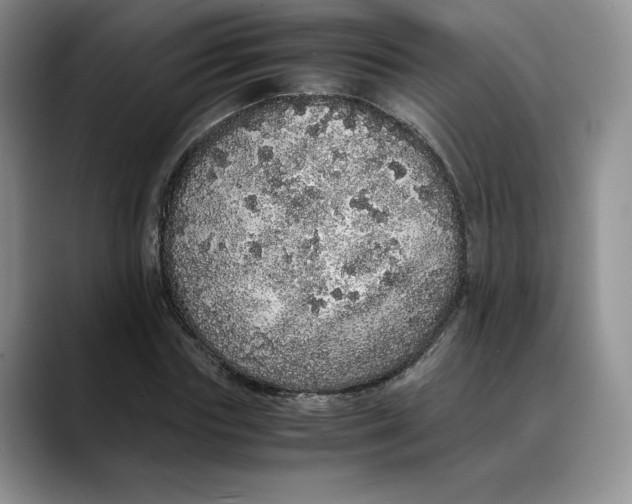 X0000088420827200706121431