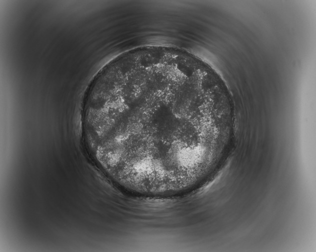 X0000088420829200706121431