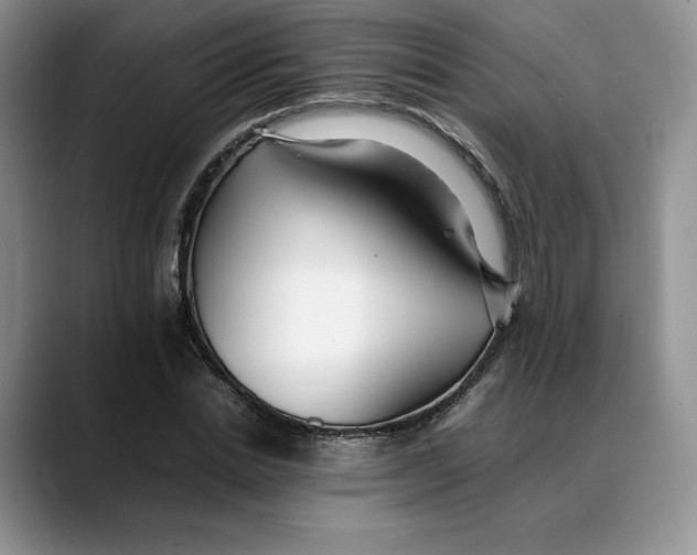 X0000088420830200706121431