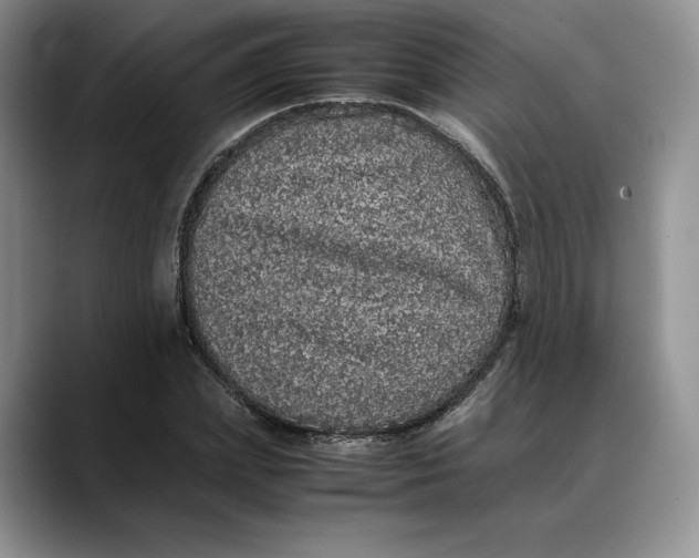 X0000088420831200706121431