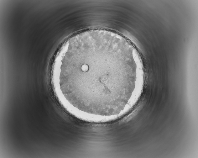 X0000088420832200706121431