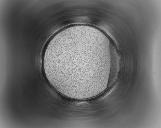 X0000088420837200706121431