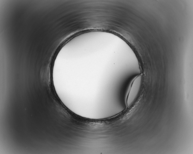 X0000088420838200706121431