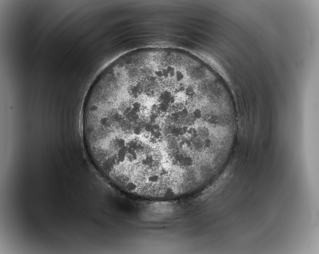 X0000088420839200706121431