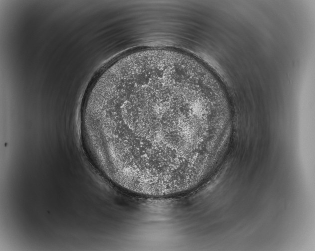 X0000088420840200706121431