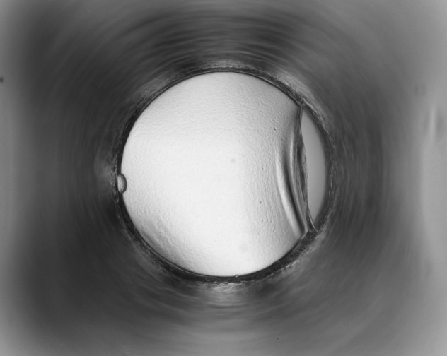 X0000088420841200706121431