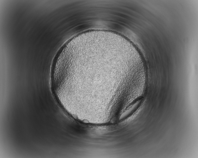 X0000088420845200706121431