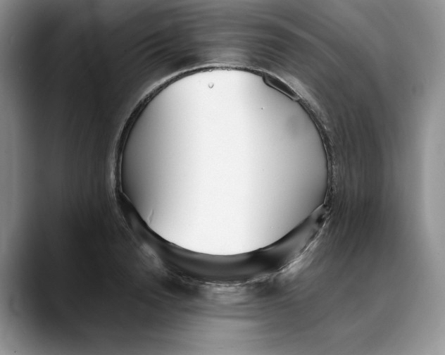 X0000088420846200706121431