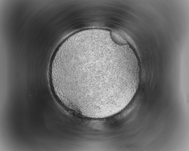 X0000088420847200706121431