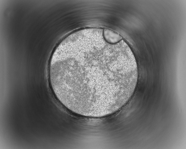 X0000088420848200706121431