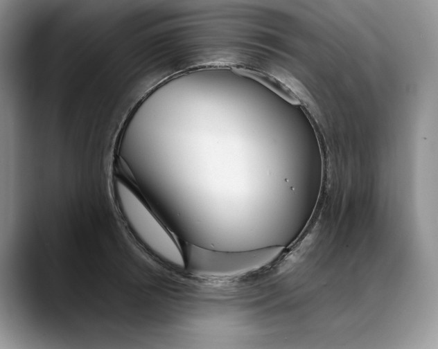 X0000088420850200706121431