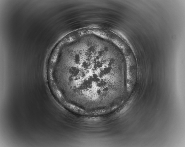 X0000088420851200706121431