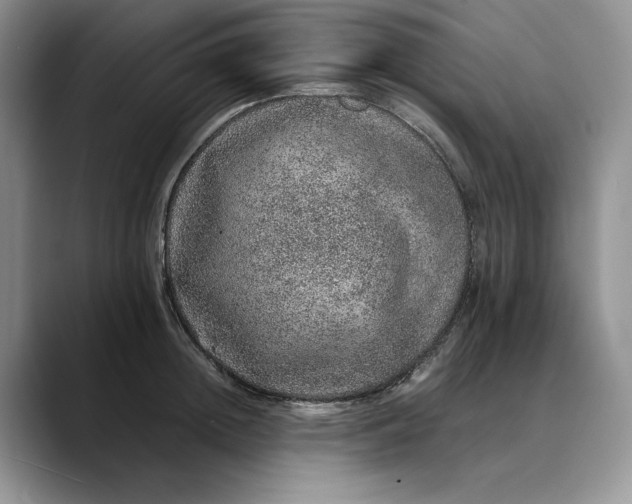 X0000088420852200706121431