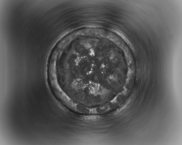 X0000088420853200706121431