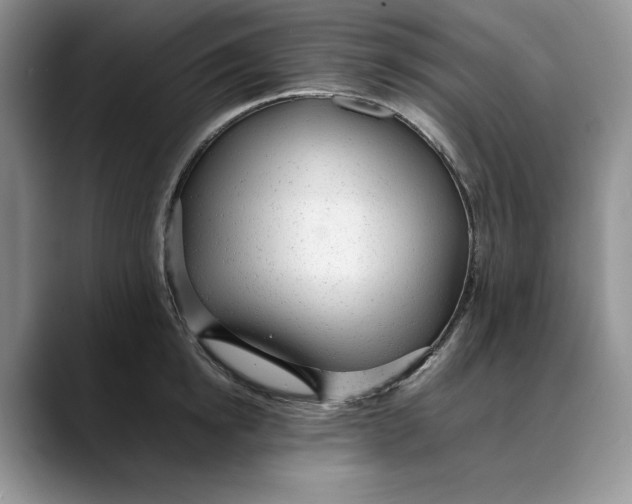 X0000088420854200706121431