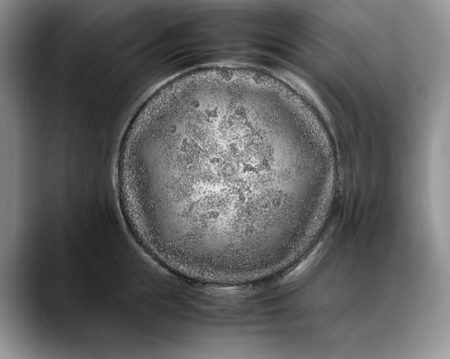 X0000088420855200706121431