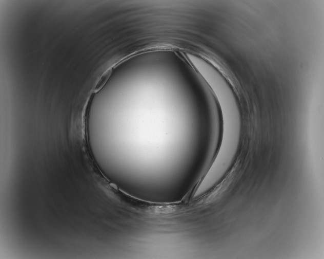 X0000088420858200706121431