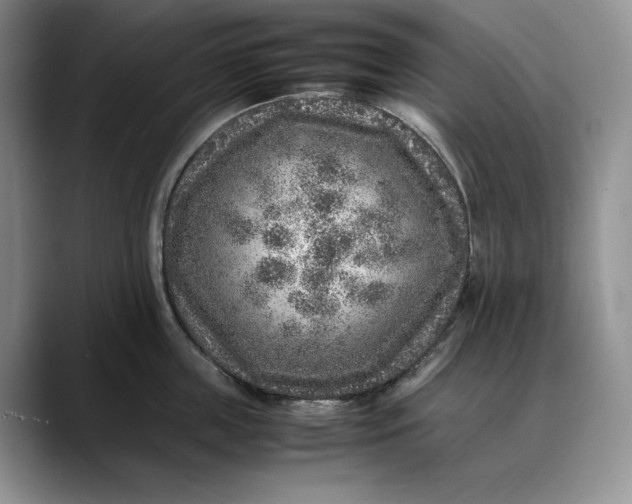 X0000088420859200706121431