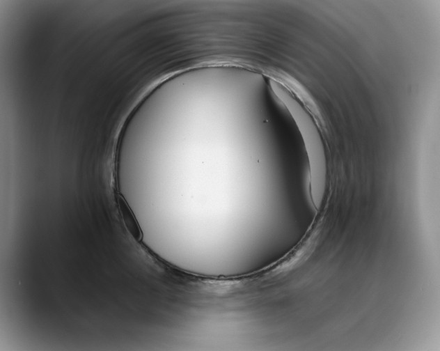 X0000088420860200706121431