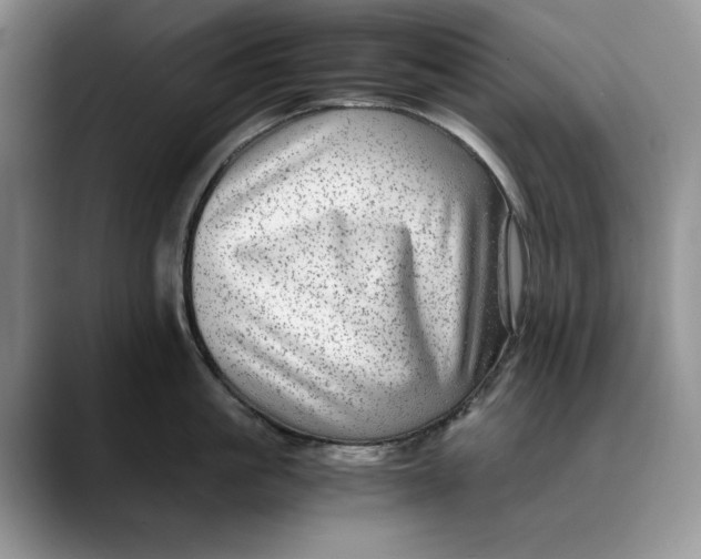 X0000088420861200706121431
