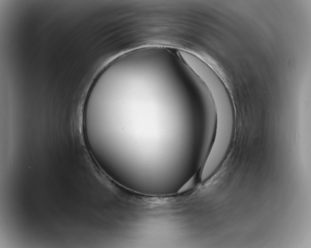 X0000088420862200706121431