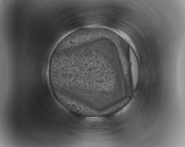 X0000088420863200706121431
