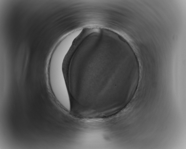 X0000088420864200706121431