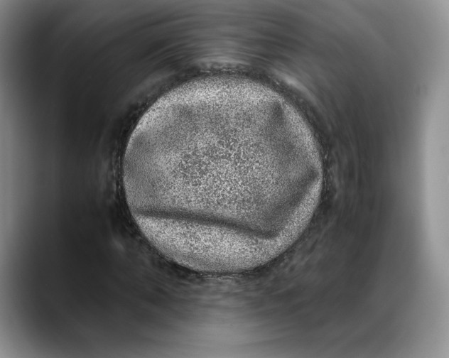 X0000088420870200706121431