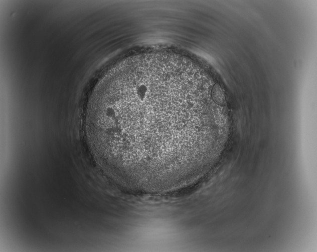 X0000088420871200706121431