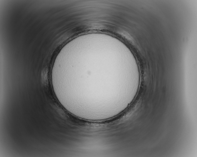 X0000088420873200706121431