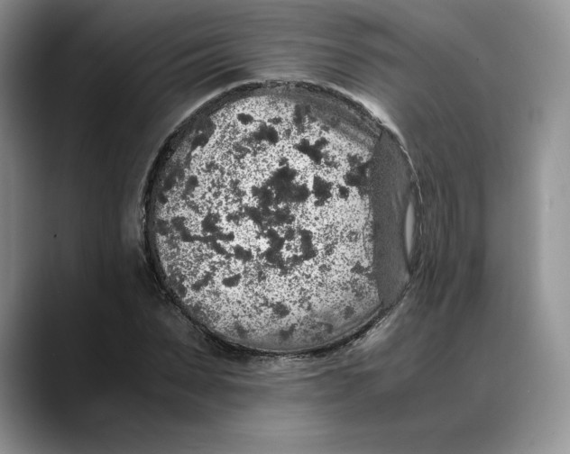 X0000088420879200706121430