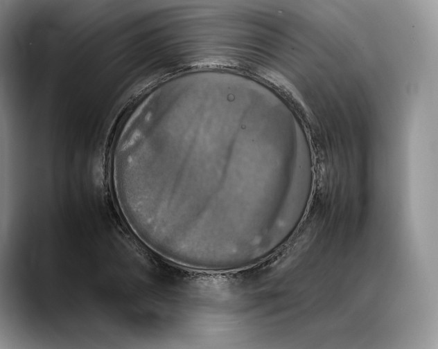 X0000088420882200706121430